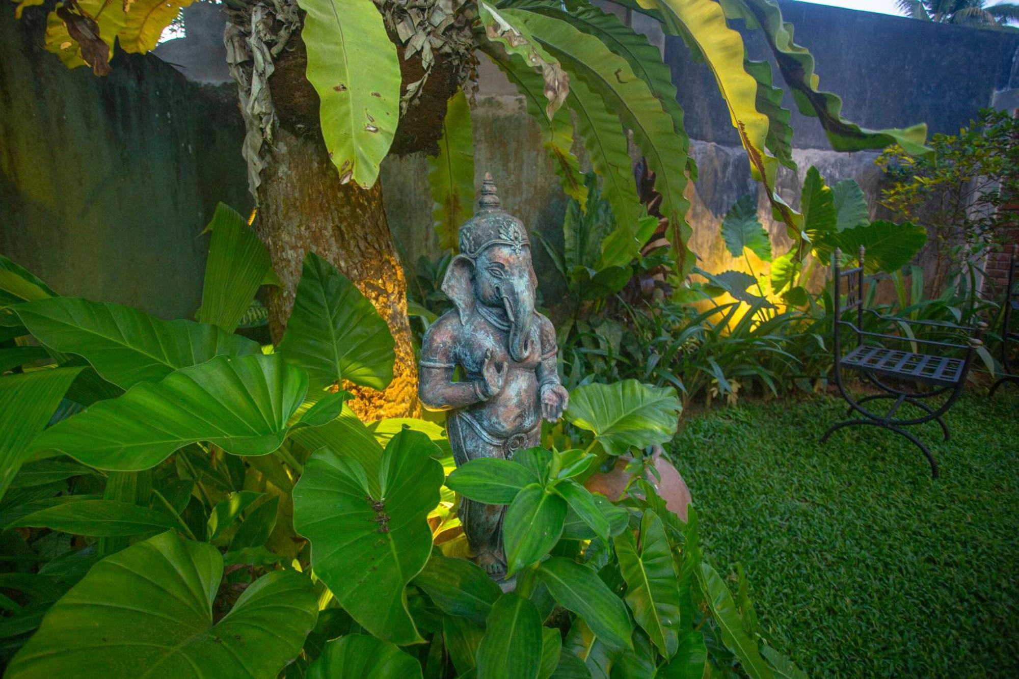 Dhyana Villa アンバランゴダ エクステリア 写真